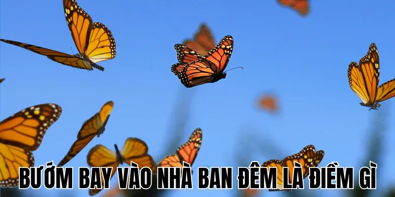Đi Đường Gặp Rắn Là Điềm Gì: Khám Phá Ý Nghĩa Và Thông Điệp