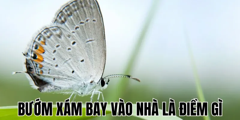 Đi Đường Gặp Rắn Là Điềm Gì: Khám Phá Ý Nghĩa Và Thông Điệp