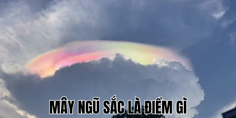 Tàn Nhang Cong Là Điềm Gì: Sự Thật Và Ý Nghĩa Từ Xưa