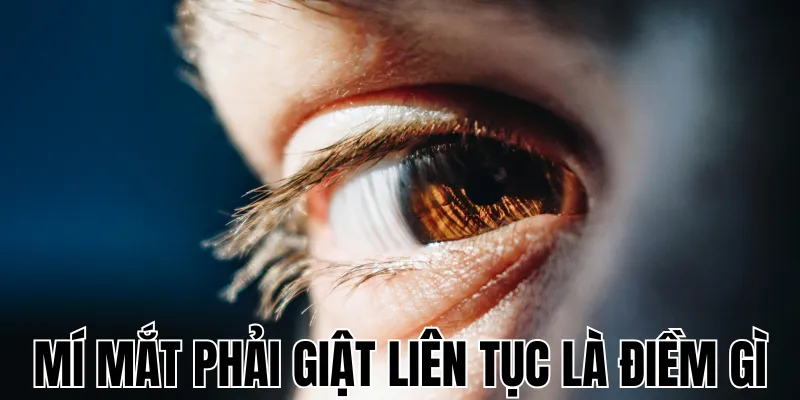 Giật Mắt Phải Nữ Là Điềm Gì: Giải Mã Bí Ẩn