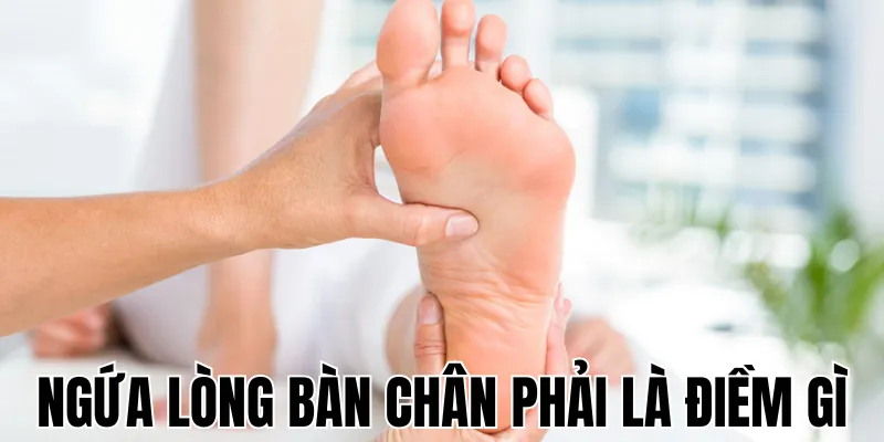 Giật Mắt Phải Nữ Là Điềm Gì: Giải Mã Bí Ẩn